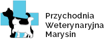 https://www.wetmarysin.pl/